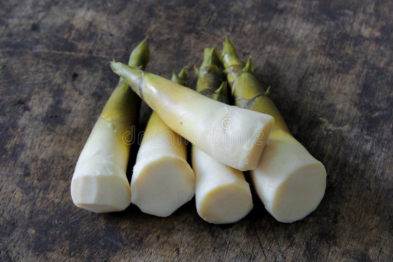 Bamboo shoots stock image. Image of recipes, vegan, novel 76654081