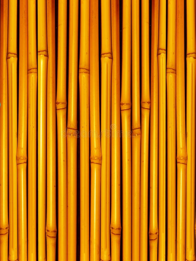 Bamboo stalks