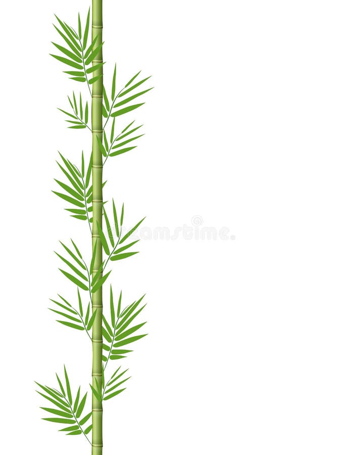Bamboo stems with leaves stock illustration. Illustration of green
