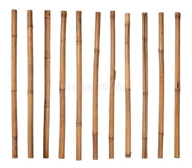 Bamboo sticks stock image. Image of isolated, stick, twig 20481065