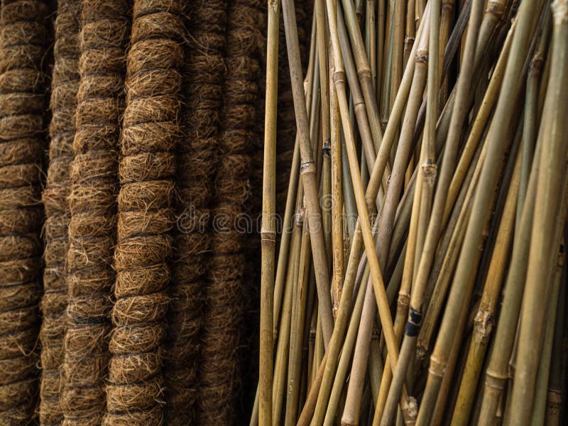 Bamboo Supports for Garden Plants. Thin and Durable Bamboo Rods for