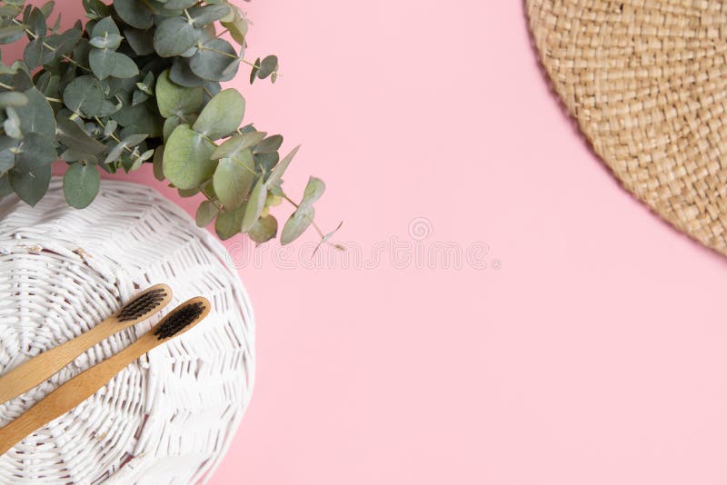 Bamboo tandborste och blad av eukalyptus på rosa bakgrund arkivfoton
