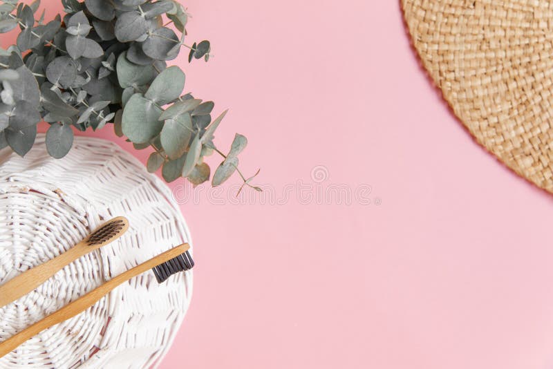 Bamboo tandborste och blad av eukalyptus på rosa bakgrund arkivbild