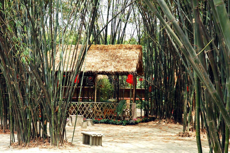 Tea house in a Chinese bamboo garden in Chengdu,capital of Sichuan. Tea house in a Chinese bamboo garden in Chengdu,capital of Sichuan