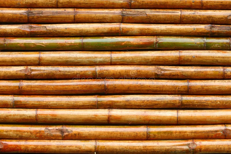 Bamboo texture