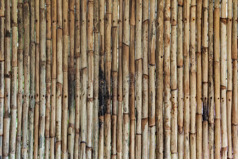 Bamboo Texture with Natural Patterns Stock Image Image of culture