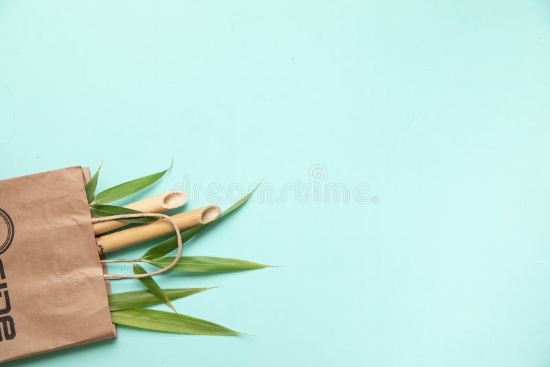 Bamboo Trunks and Lieaves in Paper Bag on Green Background. Eco Friendly  Top View with Copy Cpace Stock Image - Image of recycle, bamboo: 185137061