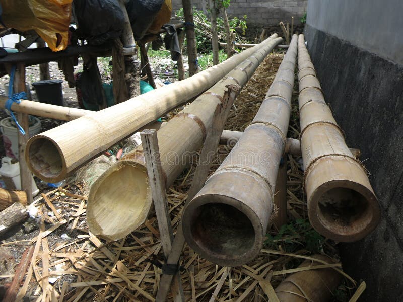 Bamboo trunks. Natural bamboo. royalty free stock photo Bamboo trunks. Natural bamboo. royalty free stock photo