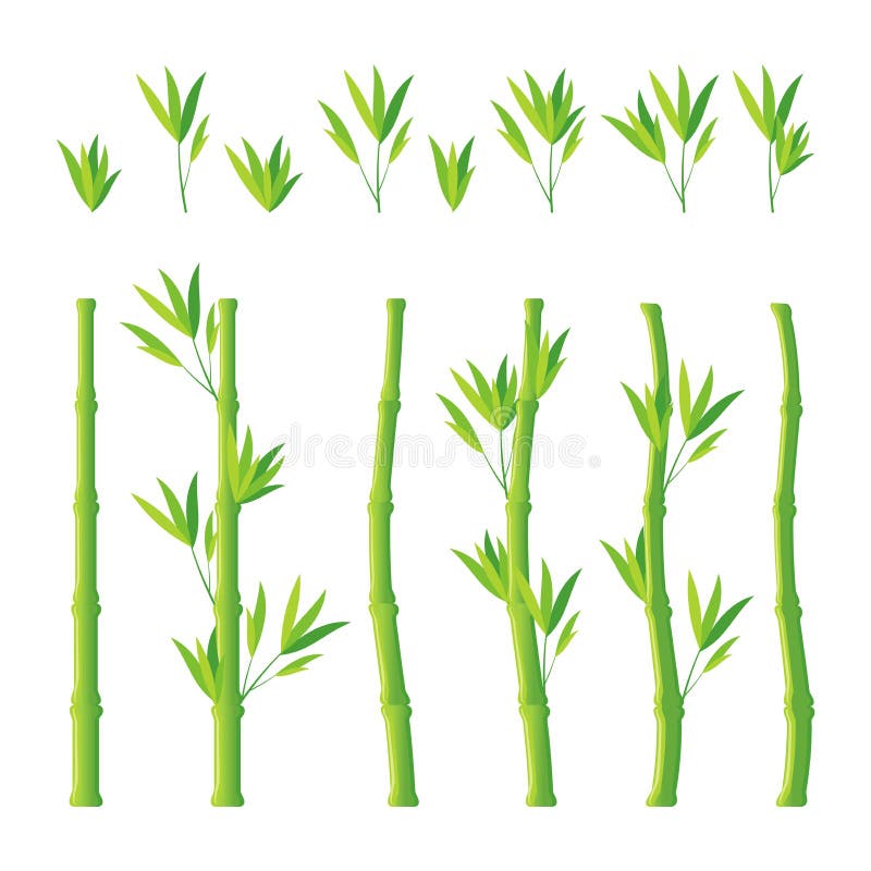 Bamboo Vector Stock Illustrations 32 707 Bamboo Vector Stock Illustrations Vectors Clipart Dreamstime Bamboo Vector Stock Illustrations 32 707 Bamboo Vector Stock Illustrations Vectors Clipart Dreamstime