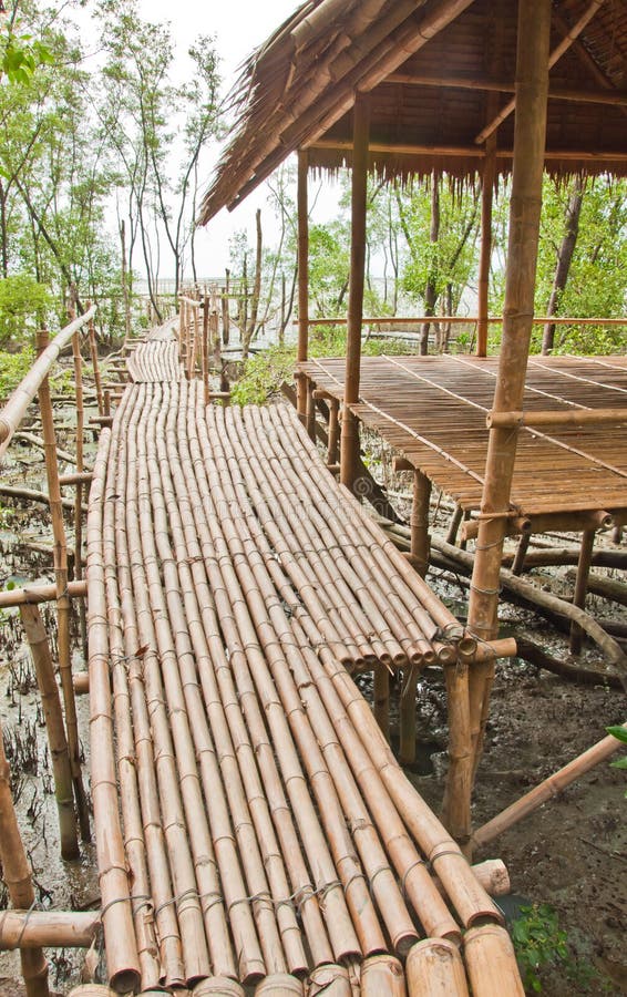 Bamboo Walkway with Shelter in Mangrove Forest Stock Image Image of