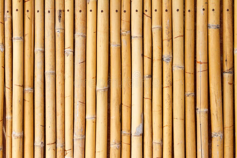 Bamboo wall stock photo. Image of bind, decor, decoration 19661688