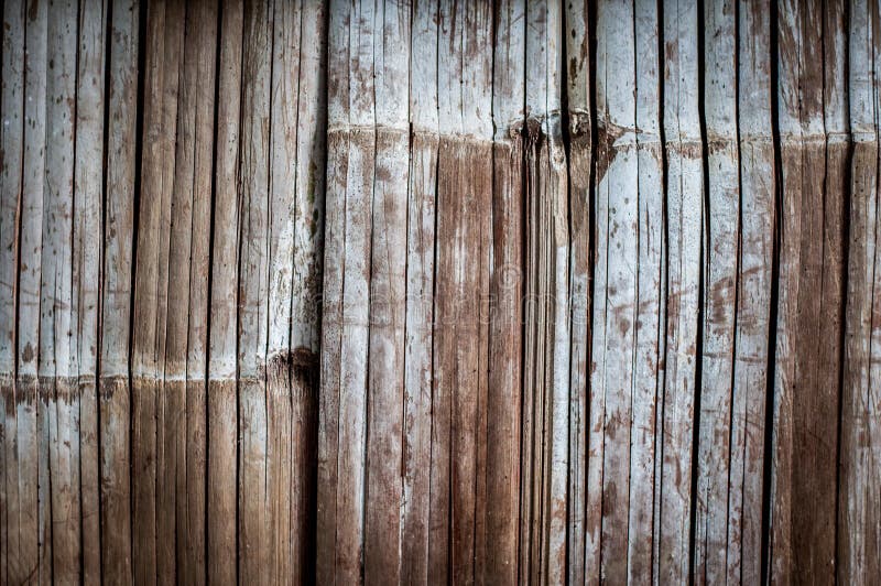 Bamboo wall royalty free stock images