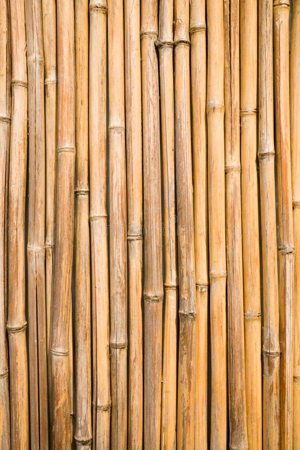 Very large seamless texture of bamboo mat Stock Photo