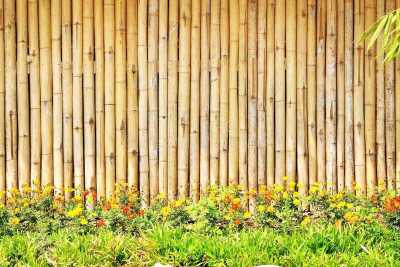 Bamboo wood wall fence texture with space and nature flower in garden background