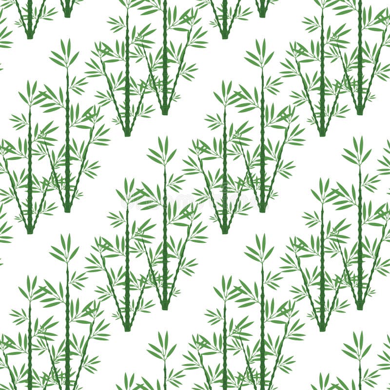 Bambou sans couture de modèle pour un fond illustration de vecteur Bambou sans couture de modèle pour un fond illustration de vecteur