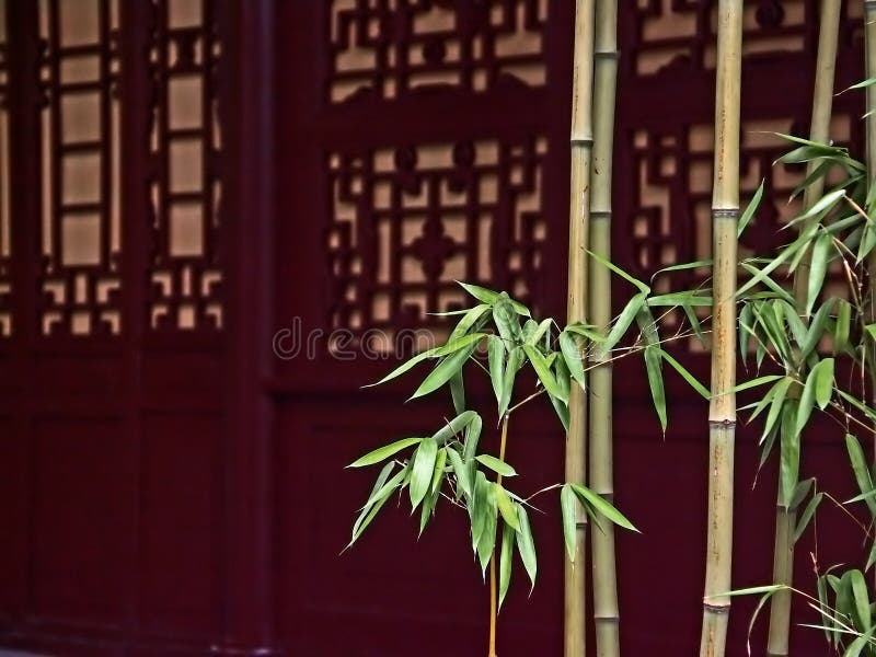 Bambu na frente das portas de madeira vermelhas foto de stock royalty free Bambu na frente das portas de madeira vermelhas foto de stock royalty free
