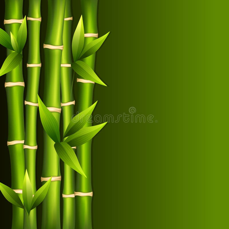 Bambu verde ilustração stock Bambu verde ilustração stock