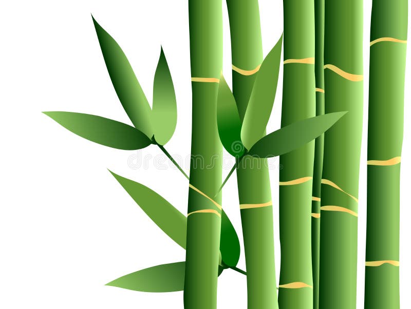 Bambu, vetor ilustração royalty free Bambu, vetor ilustração royalty free