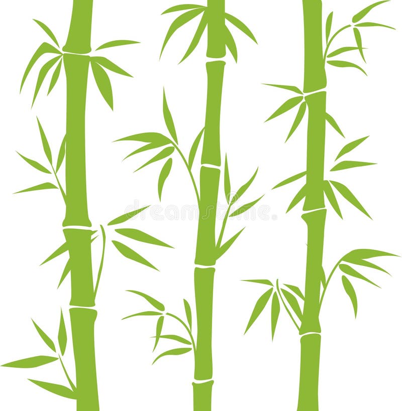 Green Bamboo on the white background. Green Bamboo on the white background