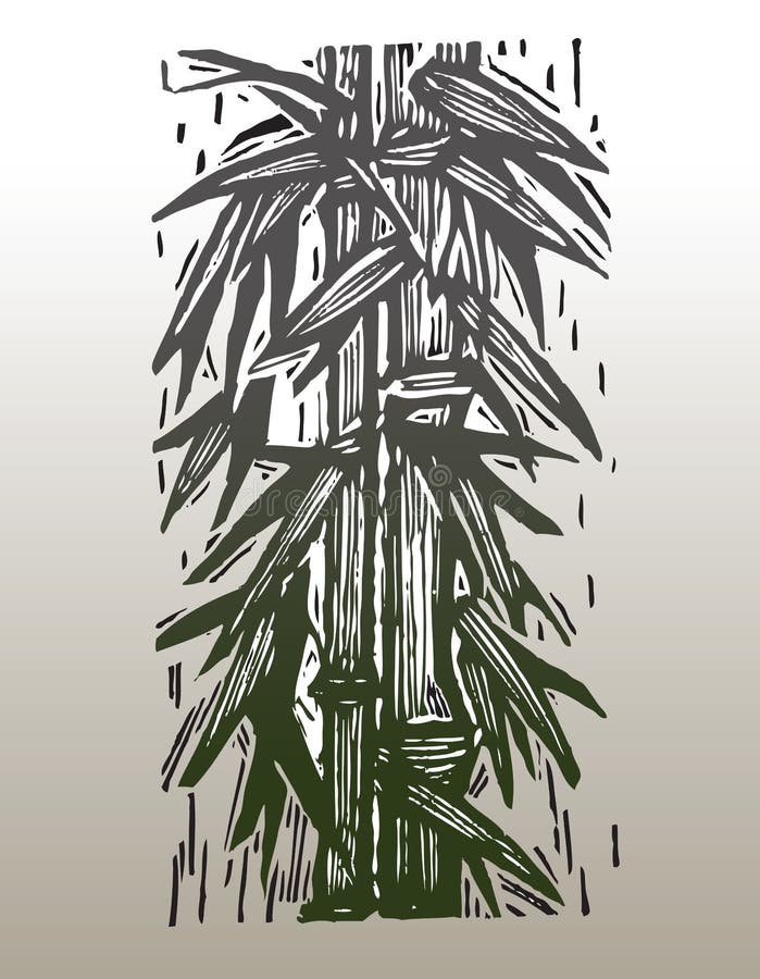 Hand drawn vector image of bamboo. Hand drawn vector image of bamboo