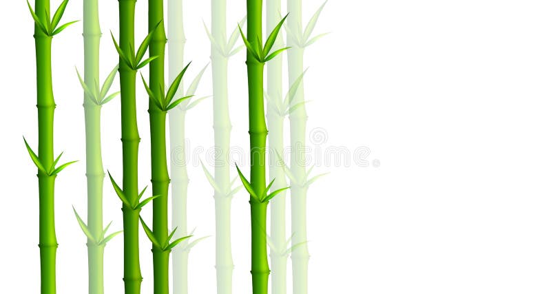 Bamboo tree using designed by photoshop. Bamboo tree using designed by photoshop