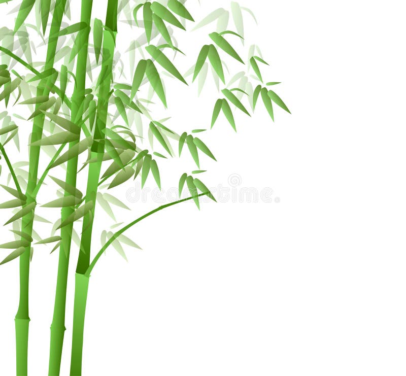 Bamboo tree on isolated background using designed by illustrator. Bamboo tree on isolated background using designed by illustrator