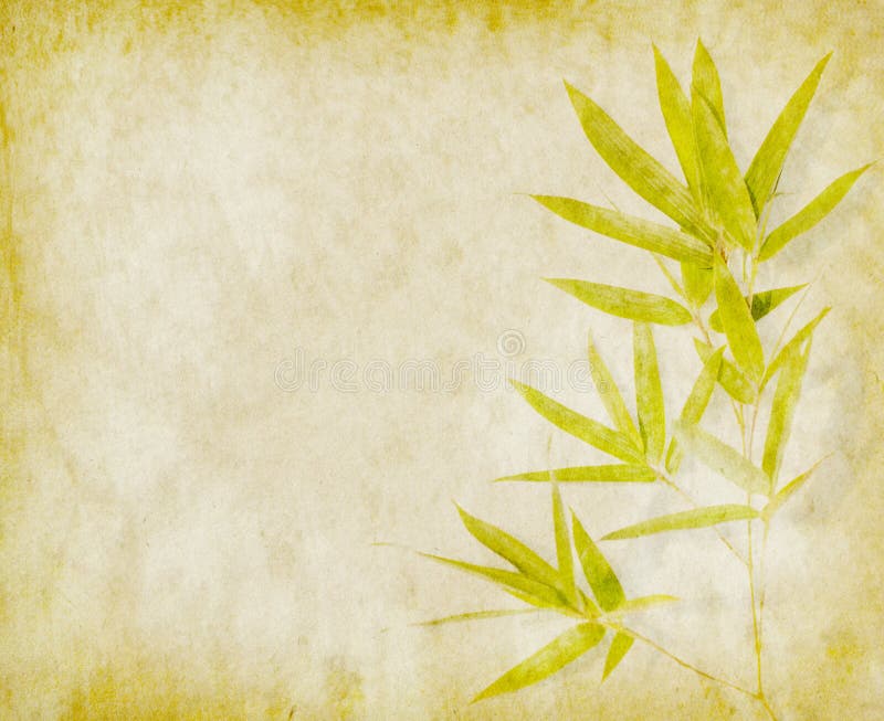 Bamboo on old grunge paper texture background. Bamboo on old grunge paper texture background