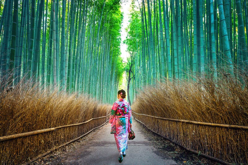 Bambus-Forest Asian-Frau, die japanischen traditionellen Kimono am Bambuswald in Kyoto, Japan trägt lizenzfreies stockfoto Bambus-Forest Asian-Frau, die japanischen traditionellen Kimono am Bambuswald in Kyoto, Japan trägt lizenzfreies stockfoto