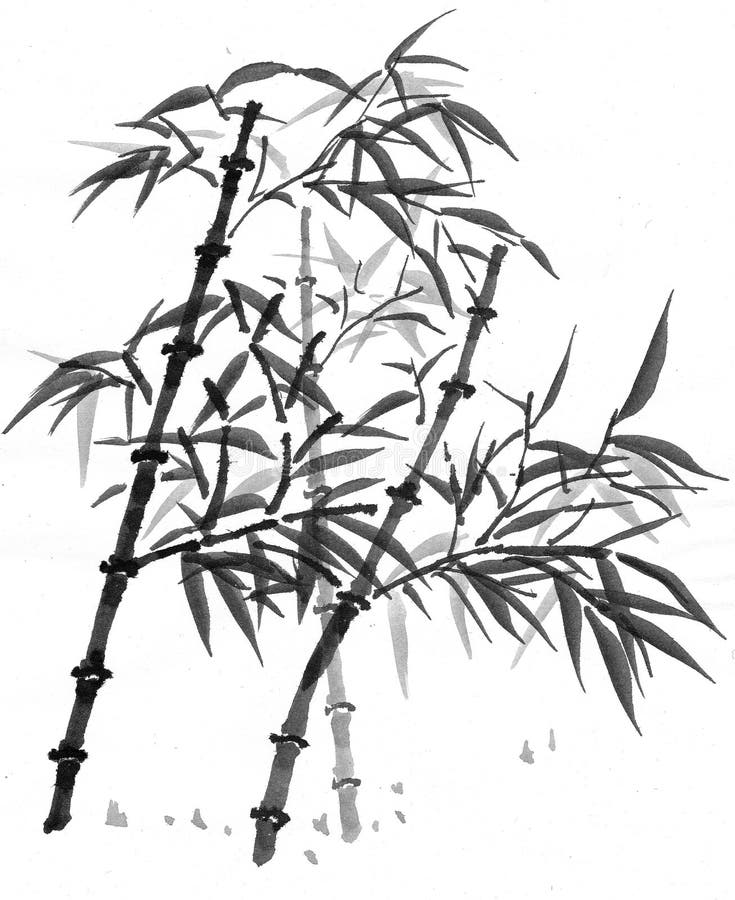 Bambus forrest ilustracji