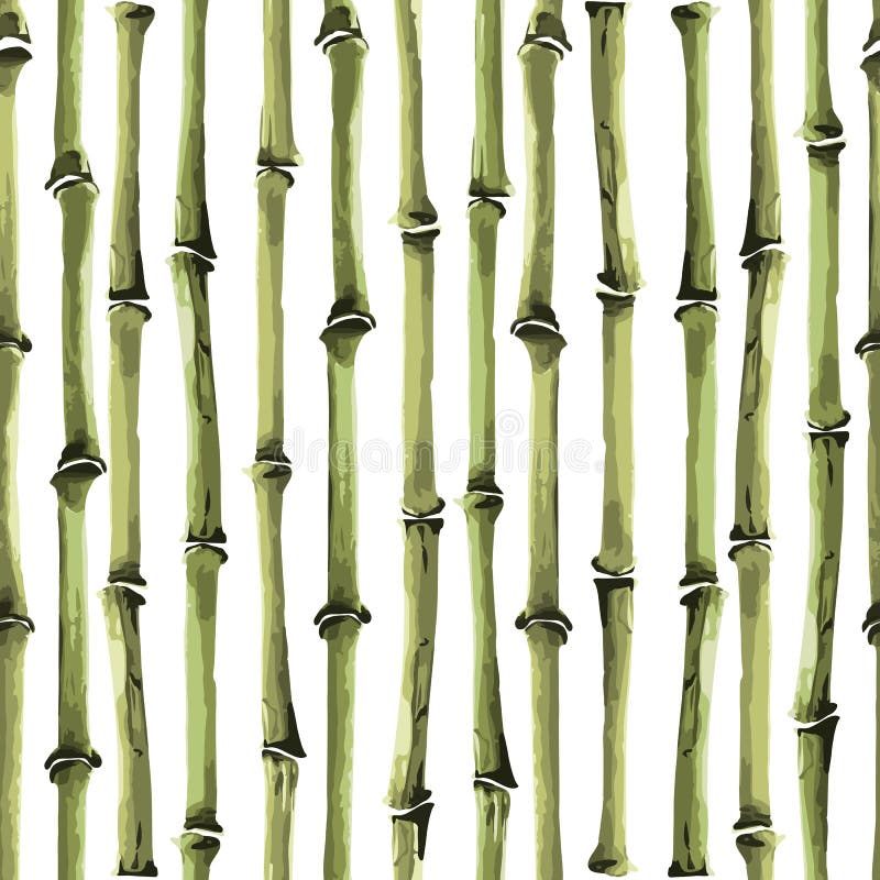 Bamboo Seamless Vertical striped pattern on white background. Tropical repeat wallpaper, nature textile print. Vector watercolor stylization. Bamboo Seamless Vertical striped pattern on white background. Tropical repeat wallpaper, nature textile print. Vector watercolor stylization.