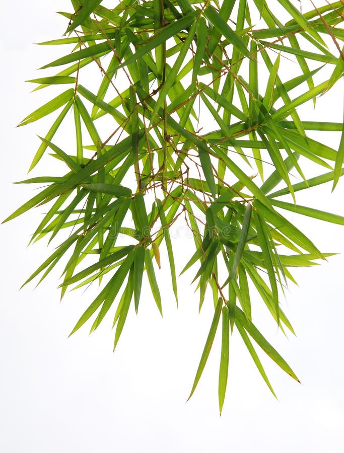 60x Künstliche Bambusblätter 45cm - Grüne Deko-Zweige Für Haus & Garten