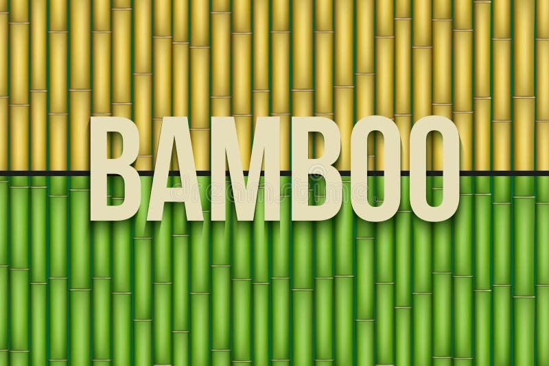 Set of Bamboo background textures. Vector Illustration. Set of Bamboo background textures. Vector Illustration