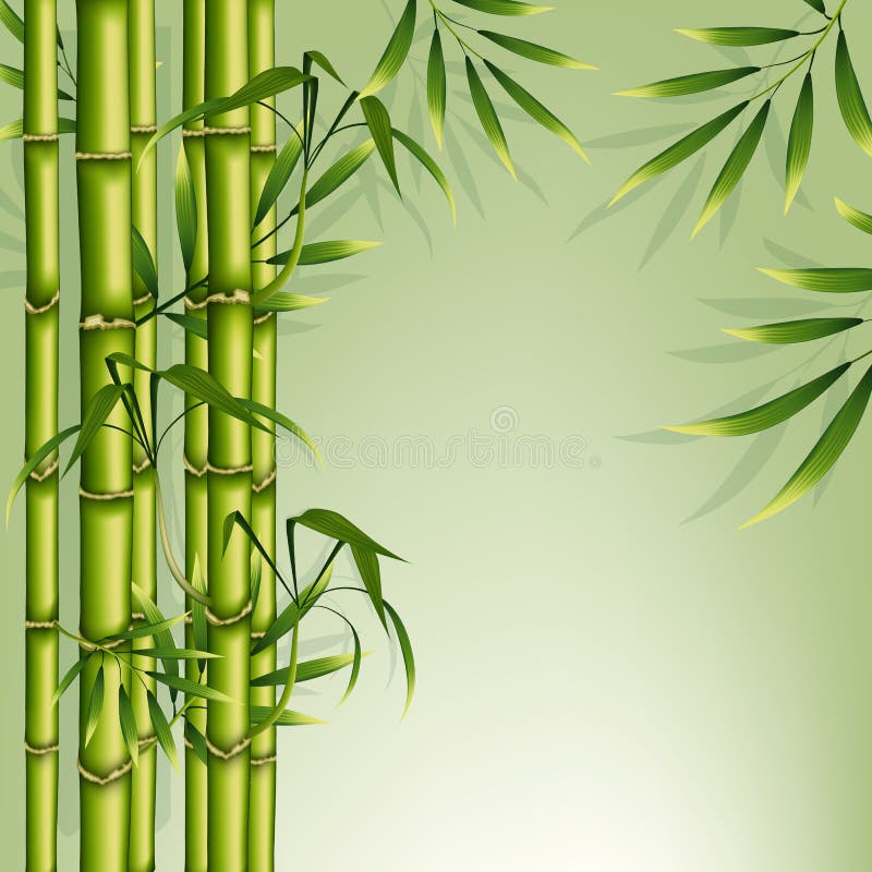 Bamboo background. Green floral illustration for business advertising. Natural banner to insert text. Vector illustration. Bamboo background. Green floral illustration for business advertising. Natural banner to insert text. Vector illustration