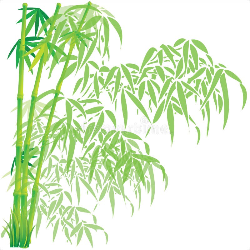 Bamboo background vector illustration eps10. Bamboo background vector illustration eps10