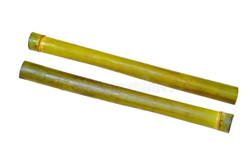 Bambù verde isolato su fondo bianco fotografia stock