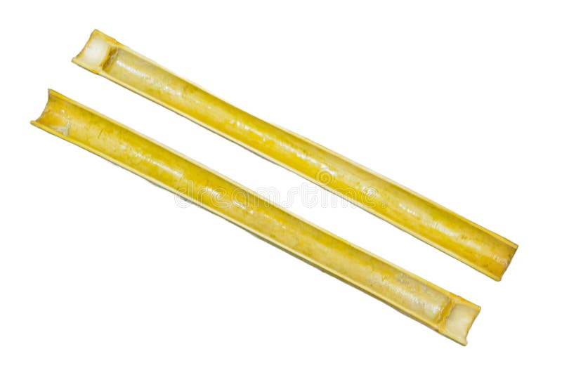 Bambù verde isolato su fondo bianco fotografie stock