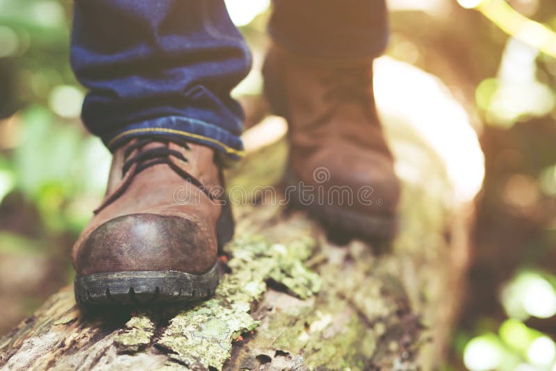 Bana för fotvandra slinga i handling på berg eller skog med att fotvandra skor arkivbilder Bana för fotvandra slinga i handling på berg eller skog med att fotvandra skor arkivbilder