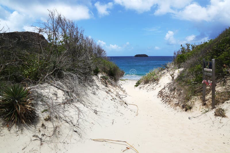 Bana till den berömda salthaltiga stranden, St Barths, franska västra Indies royaltyfria bilder Bana till den berömda salthaltiga stranden, St Barths, franska västra Indies royaltyfria bilder