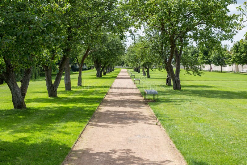 Bana till och med parkera i sommar royaltyfria bilder Bana till och med parkera i sommar royaltyfria bilder