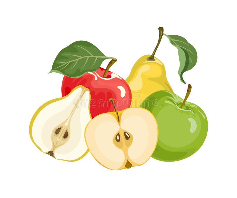 Apples and pears isolated on white background. Fresh vector fruits. royalty free illustration Apples and pears isolated on white background. Fresh vector fruits. royalty free illustration