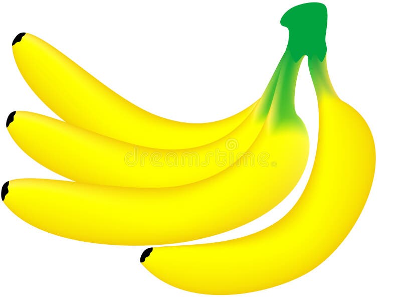 Download Banana stock vector. Illustration of snack, gourmet, aliment - 8567013