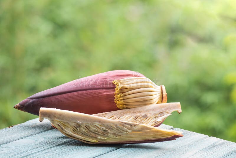 Banana Blossom on Nature Background Stock Image Image of tasty