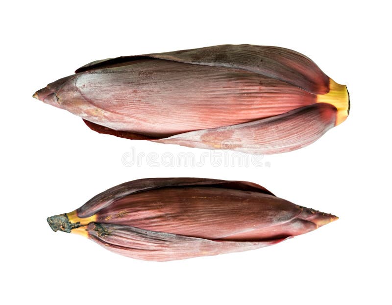 Banana blossom two on top