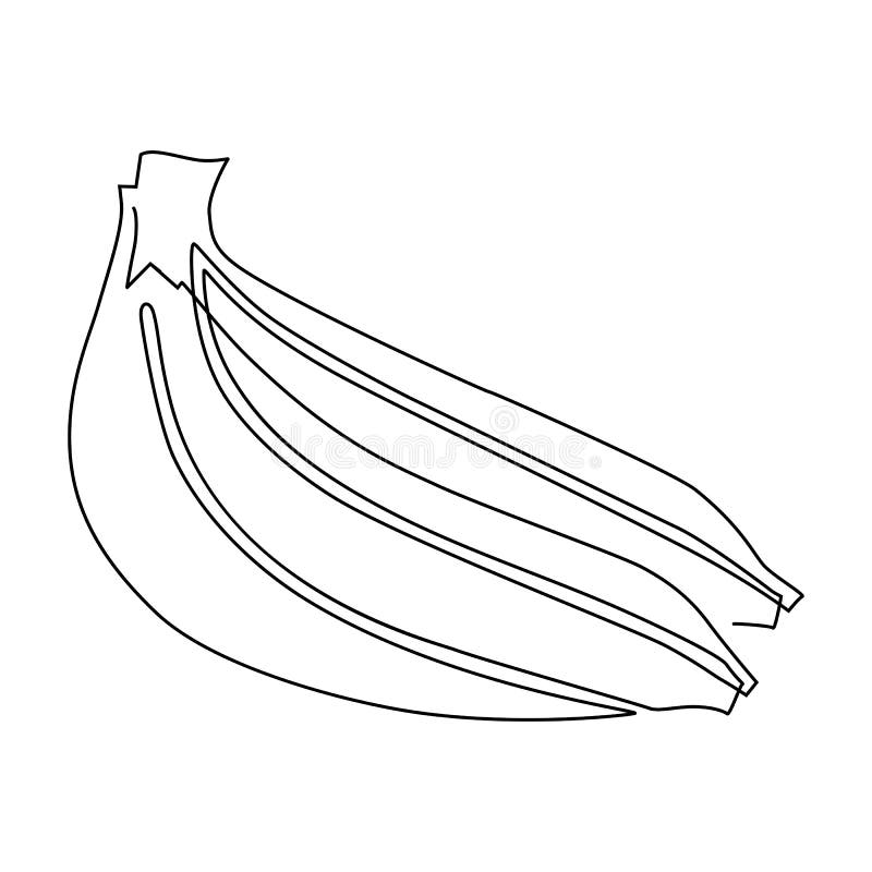 Banana Bunch. Ripe Bananas. Continuous Line Drawing Stock Vector