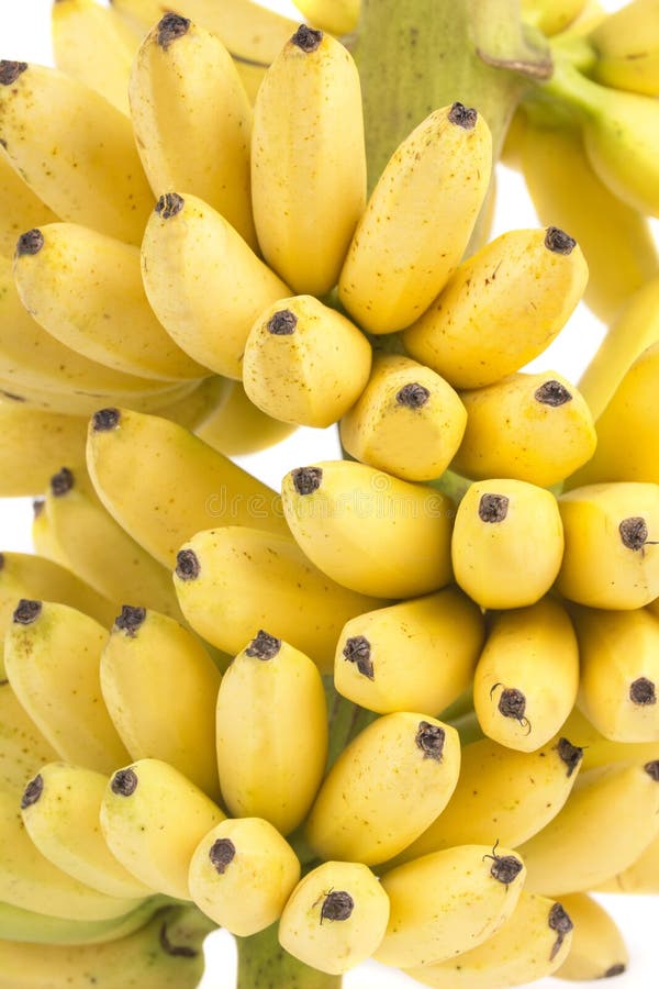 Banana Bunch Cluster Stock Image Image Of Cluster Grow 36602567