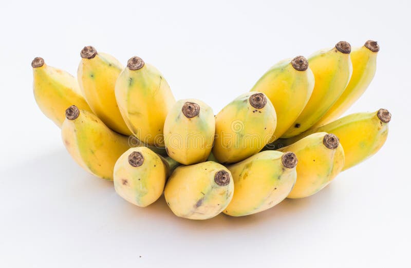 Banana coltivata fotografia stock libera da diritti Banana coltivata fotografia stock libera da diritti