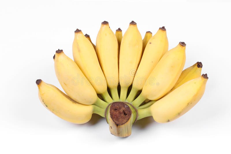 Banana coltivata giallo, banana coltivata matura