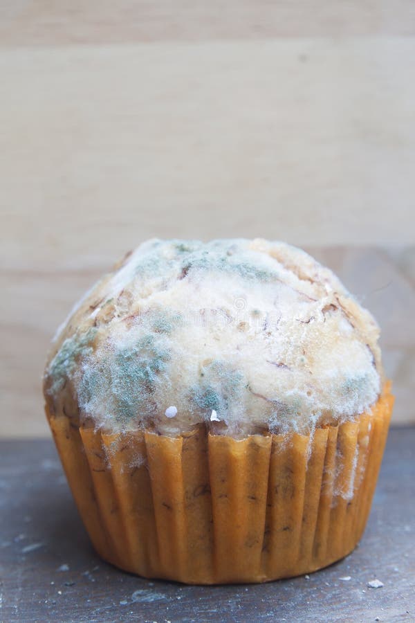 Banana cupcake with mold fungus