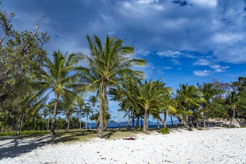 187 Banana Island Philippines Stock Photos Free & RoyaltyFree Stock