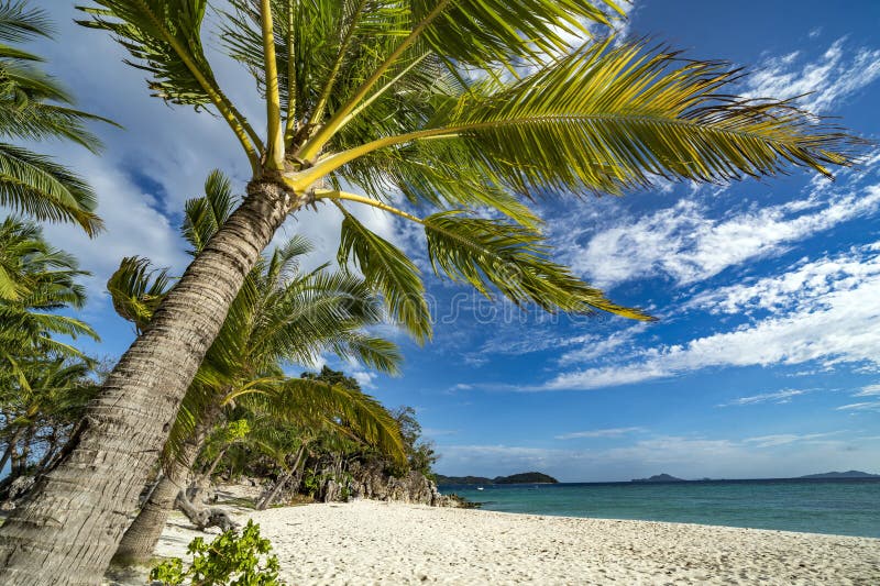 Banana Island in Palawan, Philippines Stock Photo Image of asia